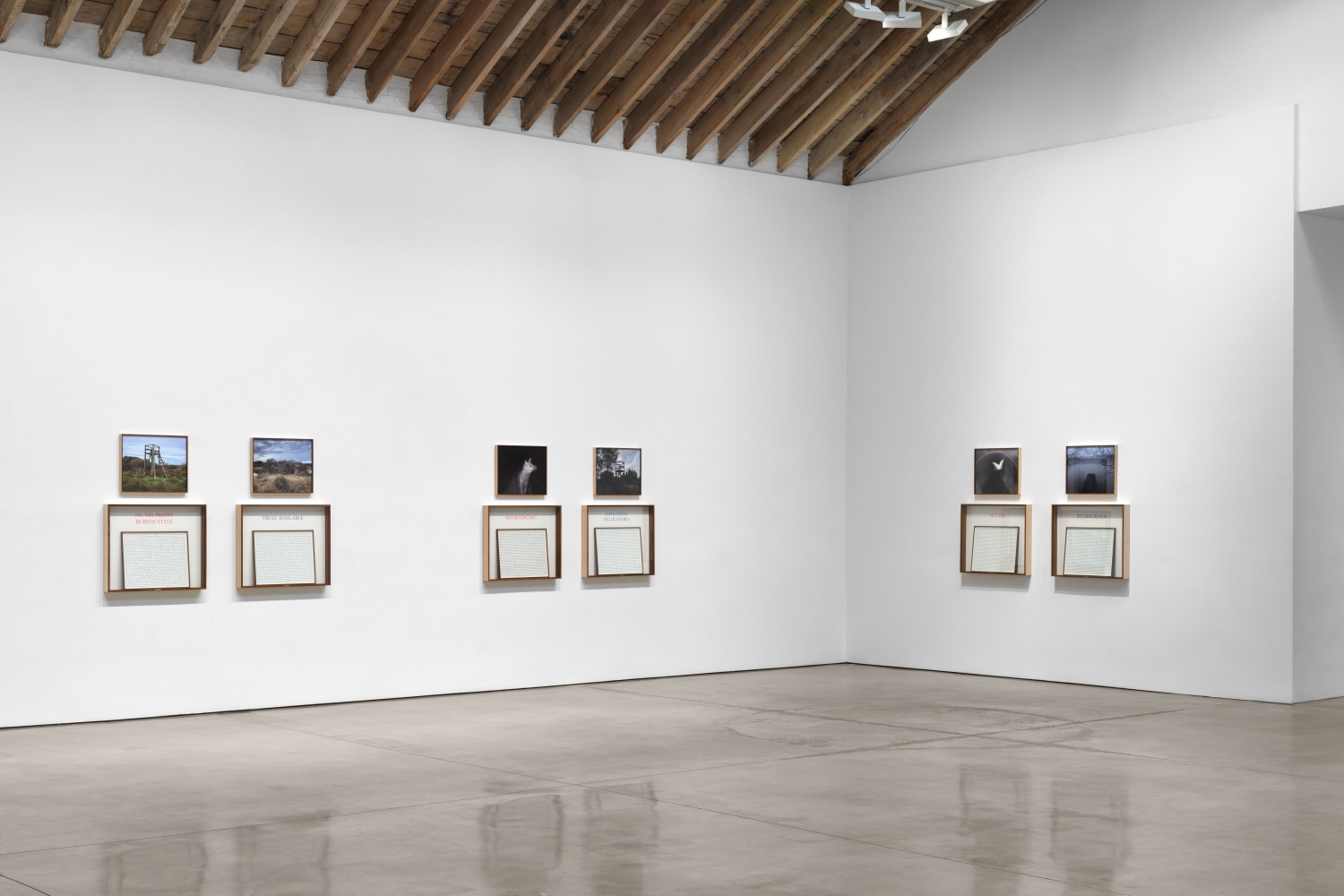 Installation view, Sophie Calle: On the Hunt, Paula Cooper Gallery, New York, September 5 – October 18, 2025. © 2025 Sophie Calle / Artists Rights Society (ARS), New York / ADAGP, Paris. Courtesy of Sophie Calle and Paula Cooper Gallery, New York. Photo: Steven Probert