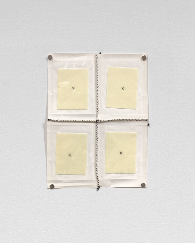 Veronica Ryan Stitched Up, 1994-1995 plastic, gauze, thread