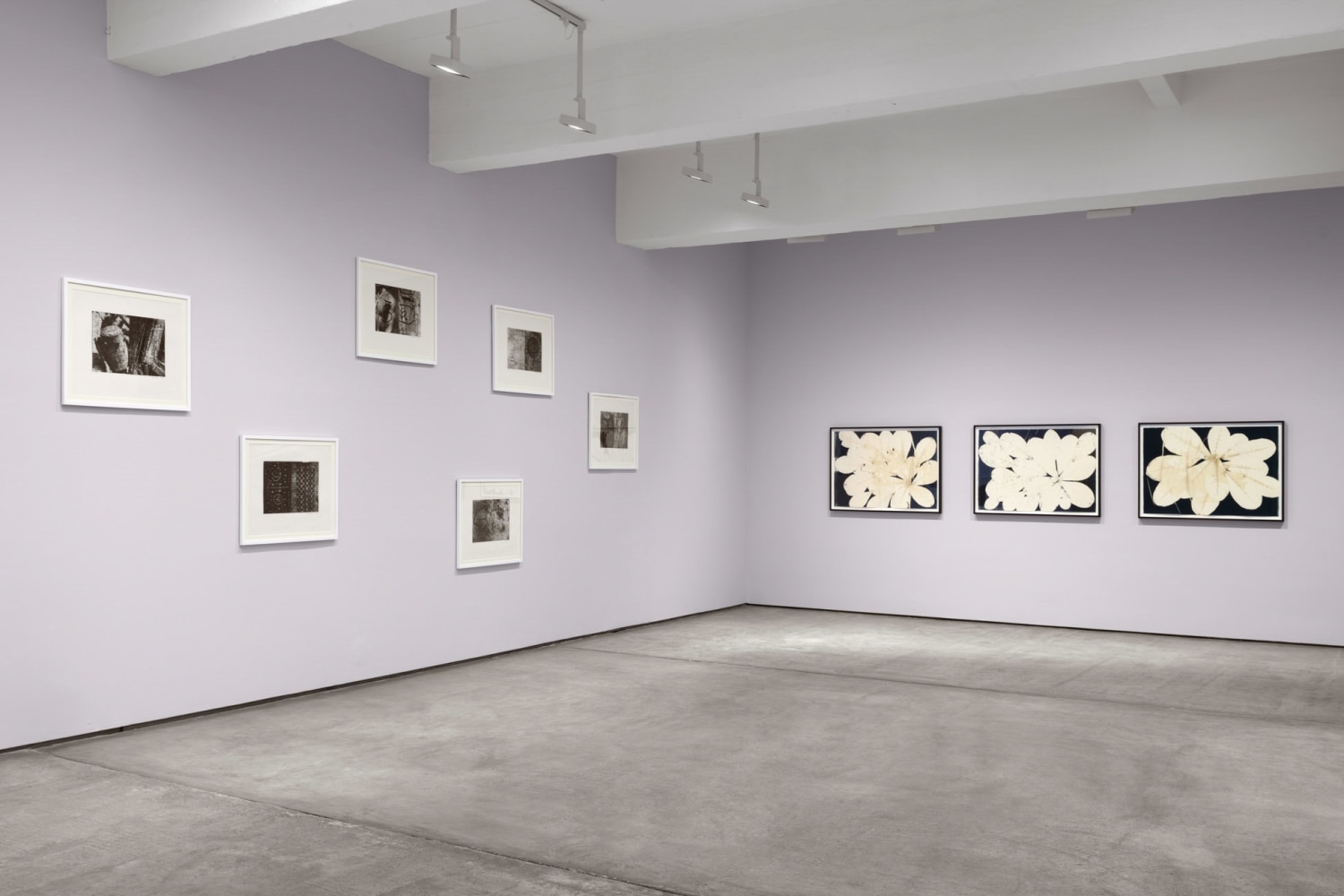 Installation view, Terry Adkins: Works on Paper, Paula Cooper Gallery, New York, November 2 - December 7, 2024. Photo: Steven Probert.