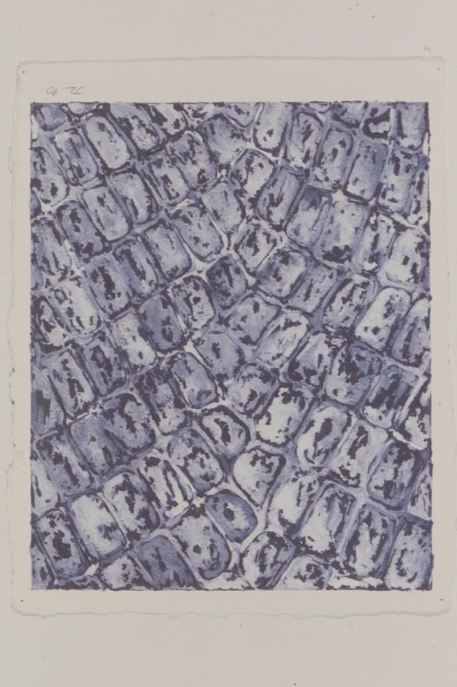 Julian Lethbridge &quot;Untitled&quot; 1990 Graphite and acrylic on paper 12 1/2&quot; x 9 3/4&quot; sheet