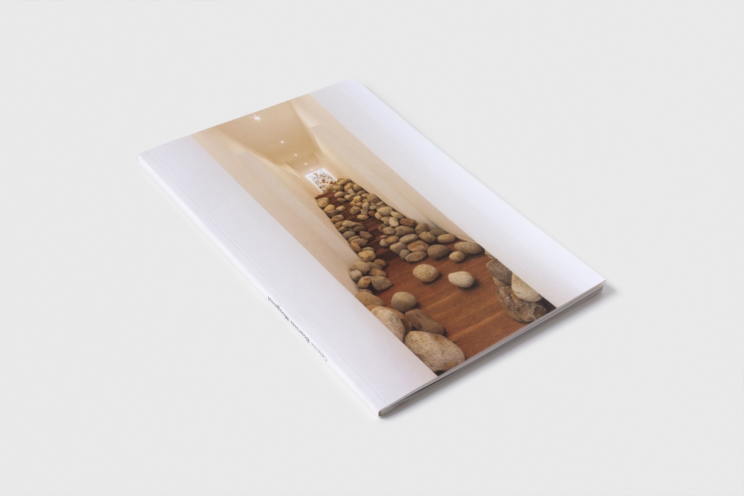 Celeste Boursier-Mougenot UMASS 1