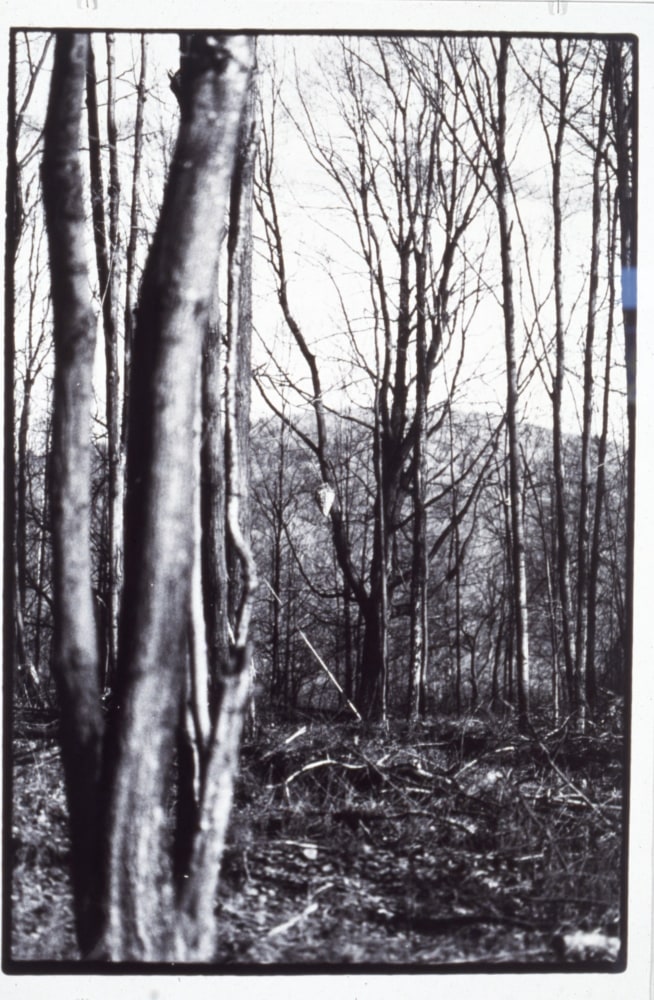 Zoe Leonard &quot;Untitled - for Barb&quot; 1992 Gelatin silver print 27&quot; x 18 1/8&quot; image, 29&quot; x 19 1/2&quot; sheet