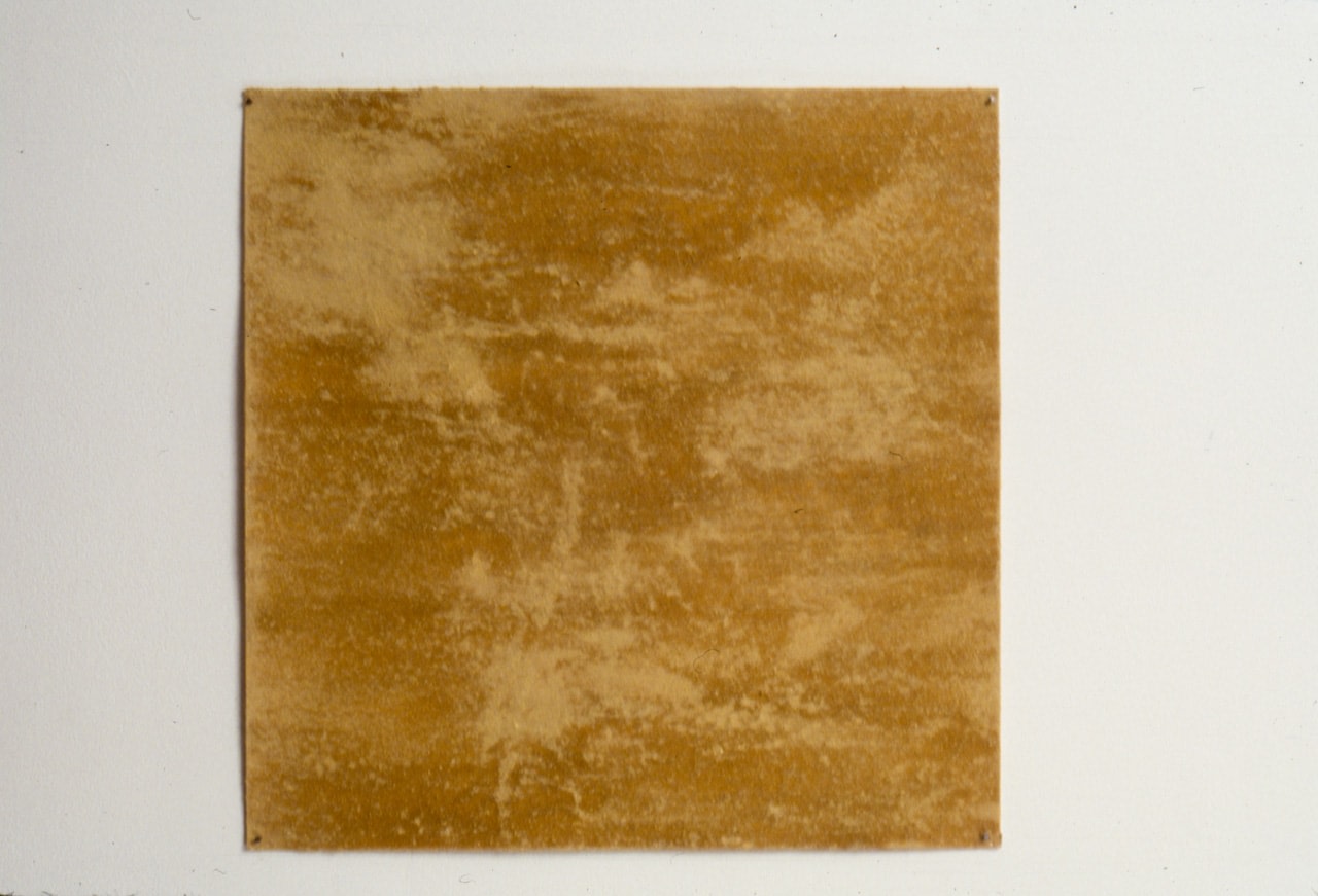 Meg Webster &quot;Ginger&quot; 2000 Ginger on paper 14 x 14&quot;