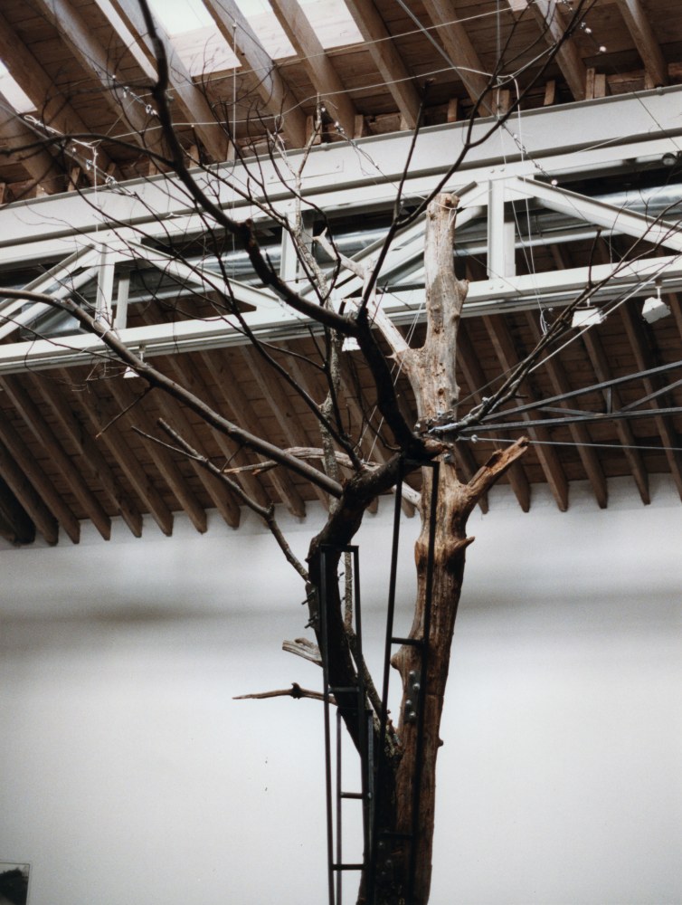 Installation view, Zoe Leonard, Paula Cooper Gallery, 534 W 21st Street, New York, September 10 - October 11, 1997. © Zoe Leonard. Courtesy Paula Cooper Gallery, New York. Photo: Tom Powel.