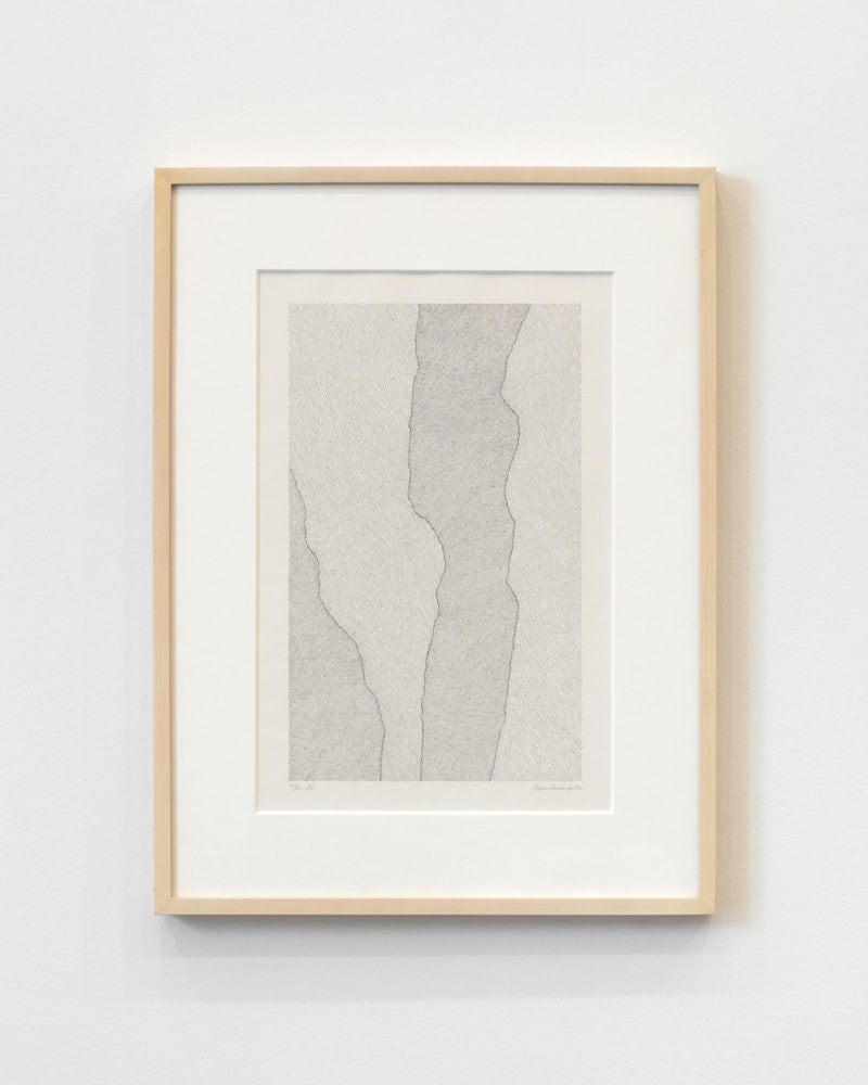 Jan J. Schoonhoven &quot;T 82-56&quot; 1982 Ink on paper 19 3/4 x 12 7/8 in.