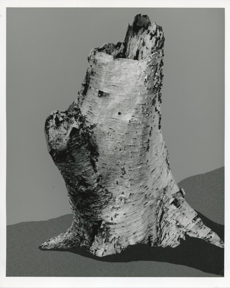 Peter Campus &quot;replica&quot; 1990 Digital photograph 20&quot; x 24&quot; sheet