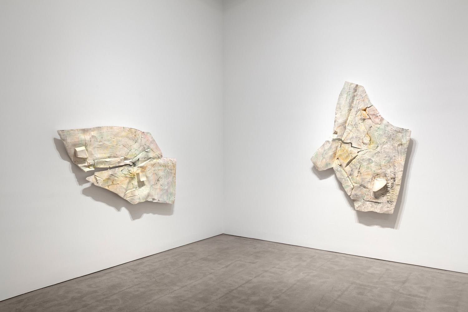 Installation view, Céleste Boursier-Mougenot, Liz Glynn, Robert Grosvenor, Justin Matherly, Paul Pfeiffer, April 4 – May 4, 2019