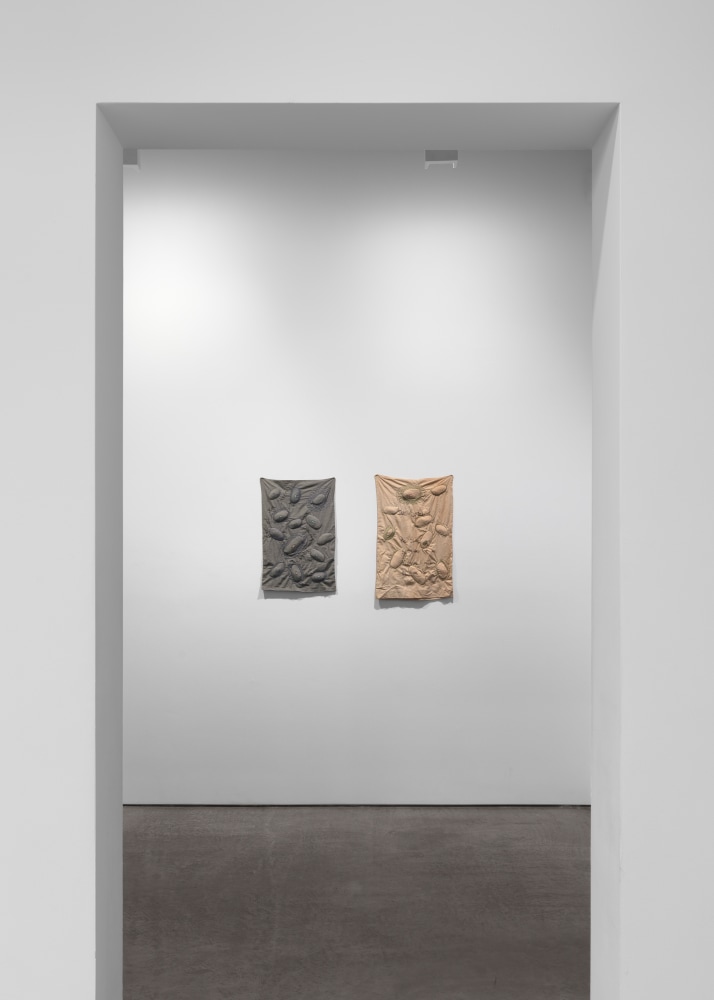 Installation view, Veronica Ryan, The Weather Inside, September 7 – October 19, 2019