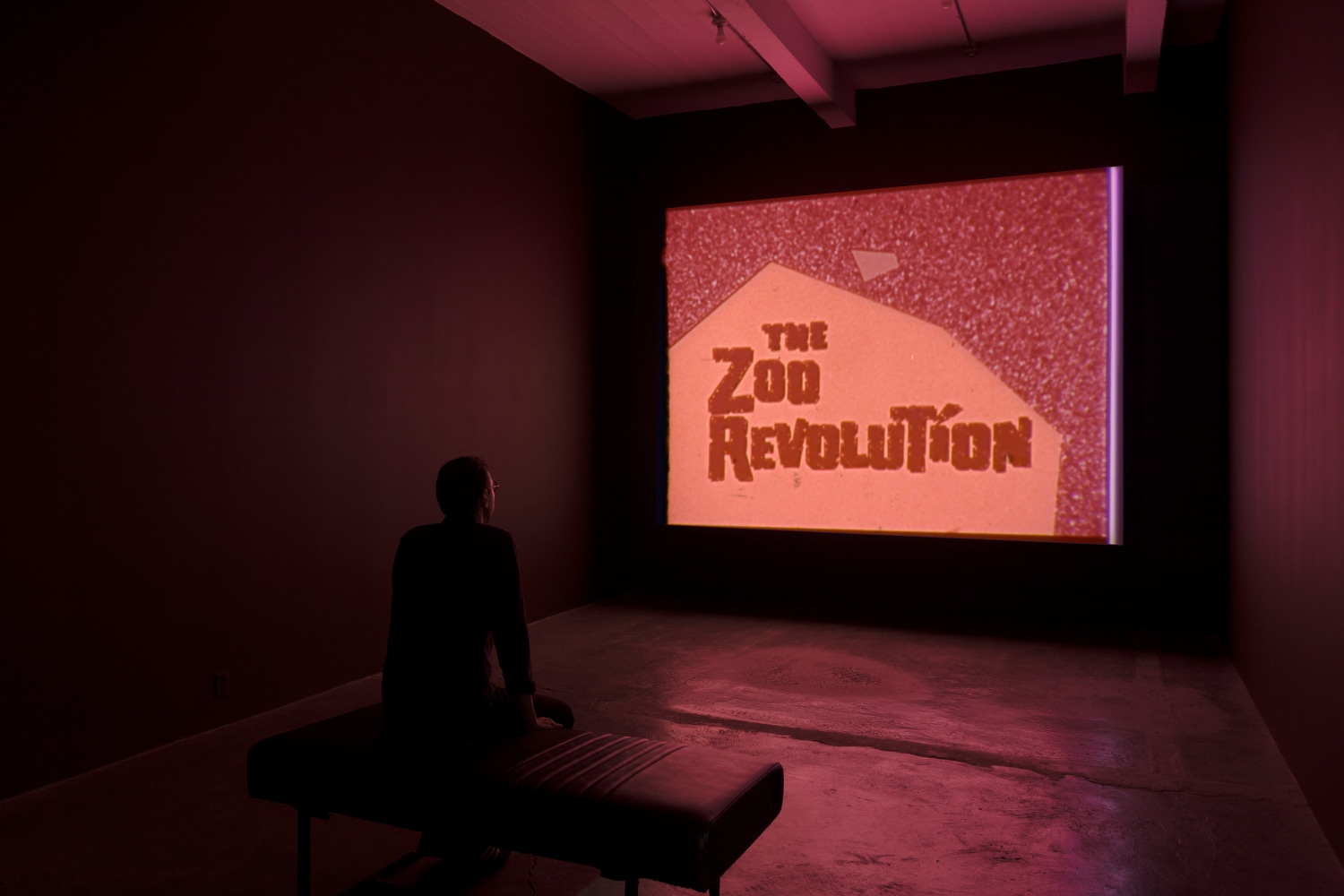 Installation view, Amy O’Neill, THE ZOO REVOLUTION, September 7 – October 19, 2019