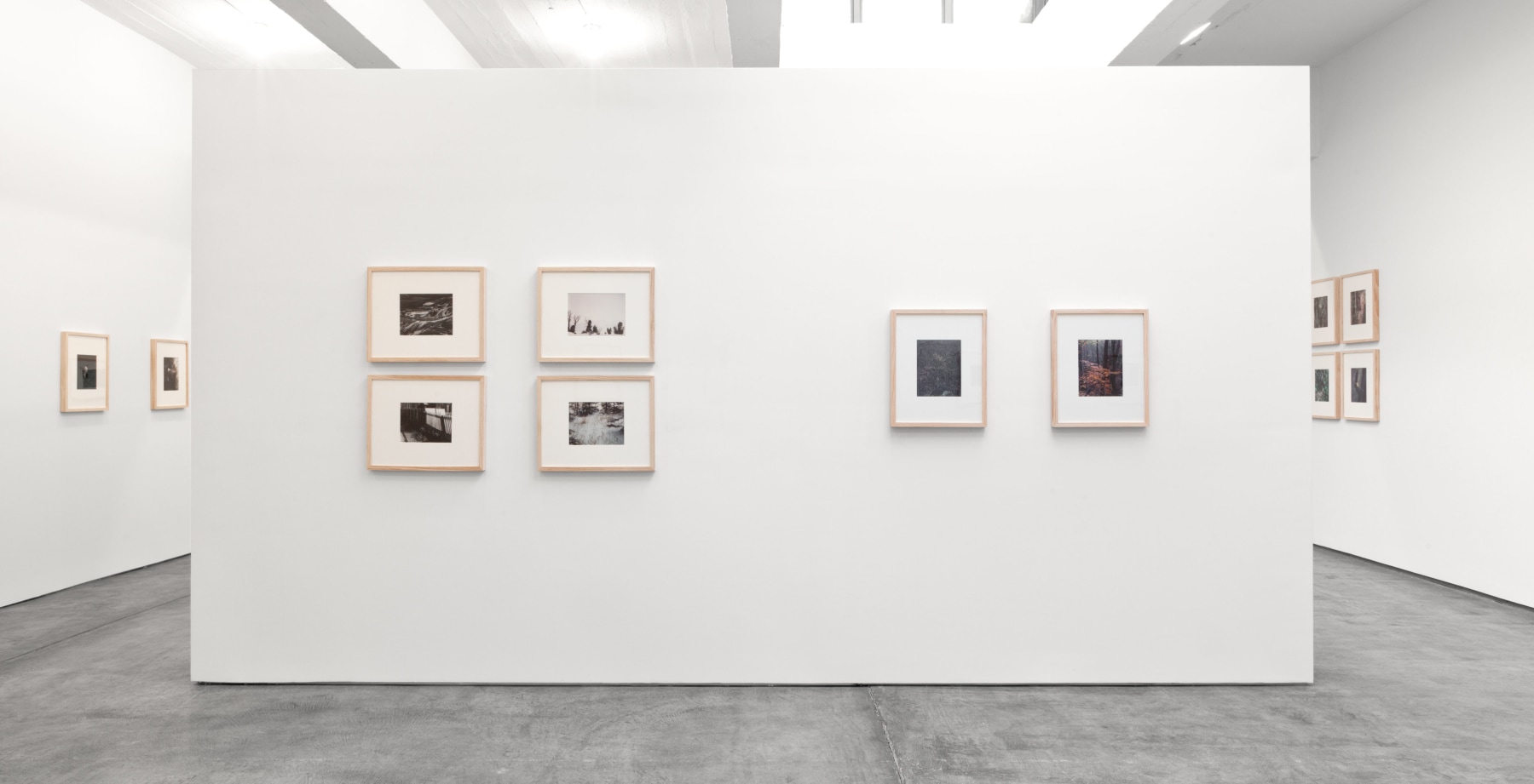 Installation view, Eliot Porter, Curated by Jack Macrae and Kristoffer Haynes, July 3 – August 16, 2013