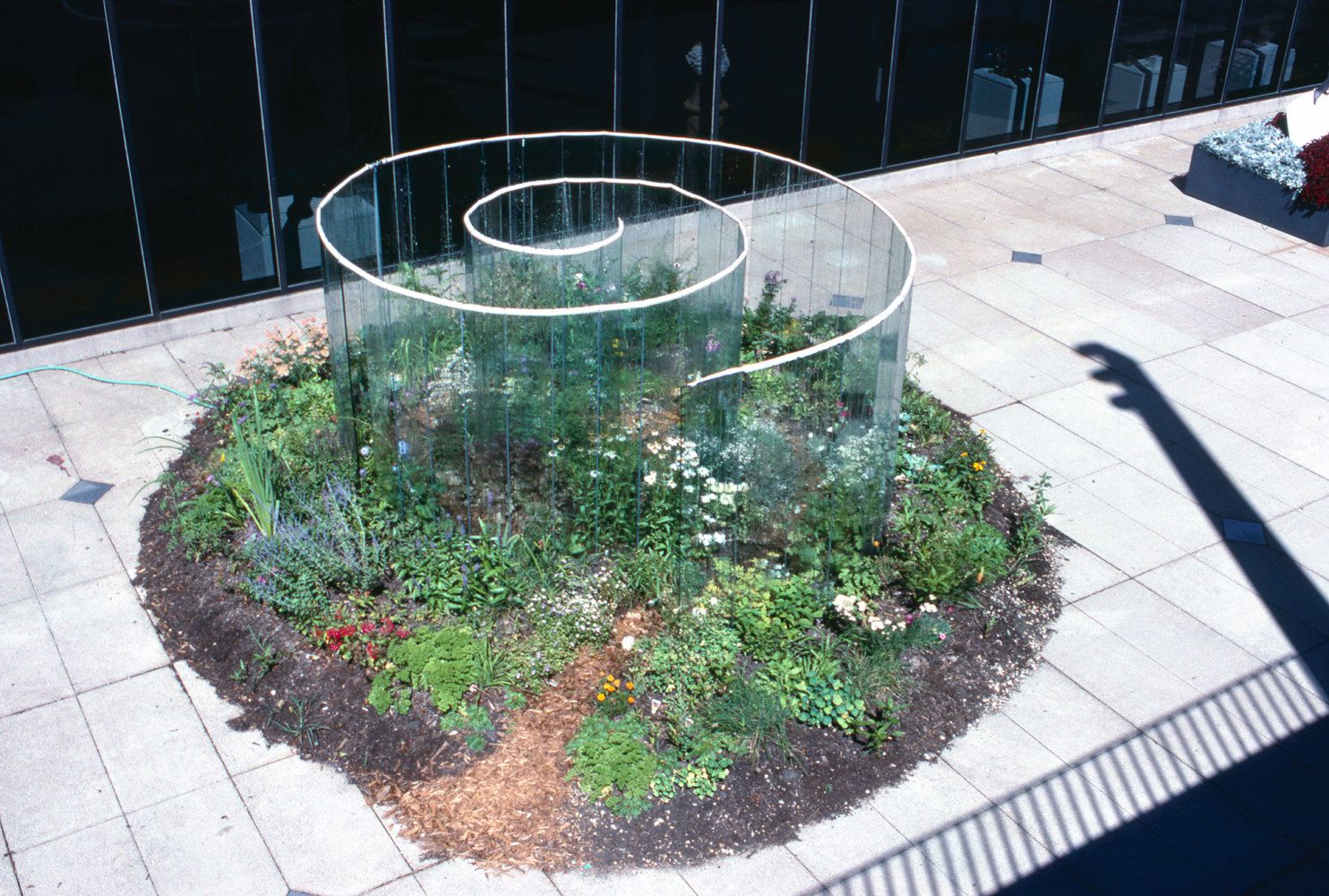 Meg Webster Glass Spiral, 1990 standing glass plates, water, plants, soil dimensions variable Installation view: Milwaukee Art Museum, Milwaukee, WI, 1990