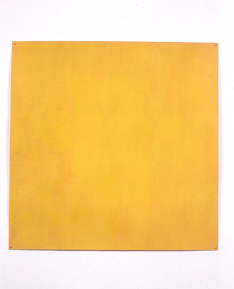 Meg Webster "Tumeric" 2000 Tumeric on paper 20 5/8 x 20 5/8"