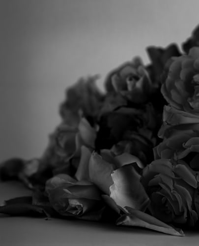 Bing Wright "Rose (Dark Pile) 1996-2006 Archival inkjet print 53 x 43 in.