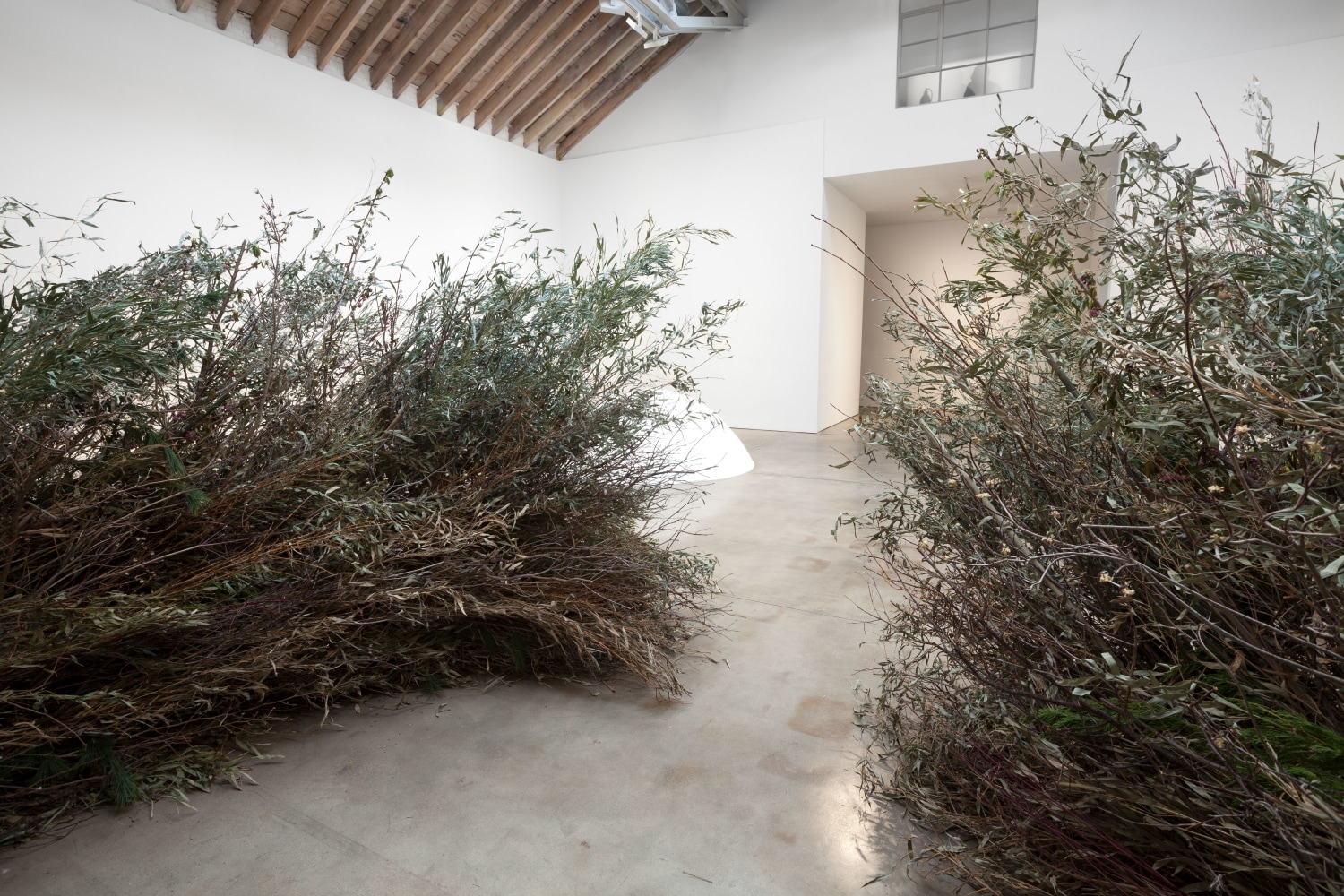 Stick Structure, (detail), 2016 various branches, twigs, and flowering plants (Bamboo, Privet, Magnolia grandiflora, Huizache, Lantana) approximately 74 x 244 inches in diameter (187.9 x 619.7 centimeters)