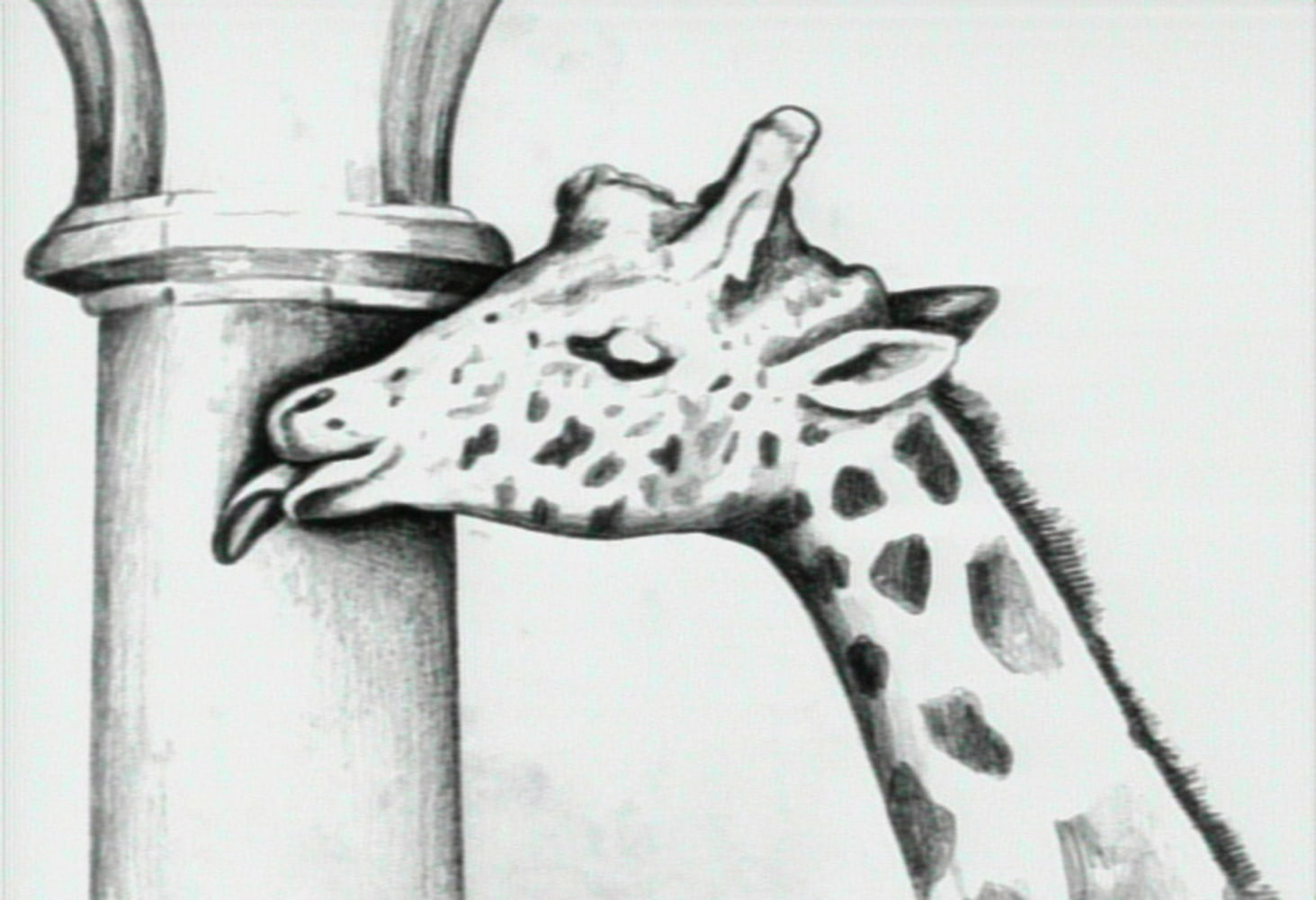 Giraffe/Escalator Video Animation Installation, (detail), 1988-1995 61 pencil animation drawings on paper with video animation  1 minute, looped each drawing 10 1/2 x 12 1/2 in. (26.7 x 31.8 cm)