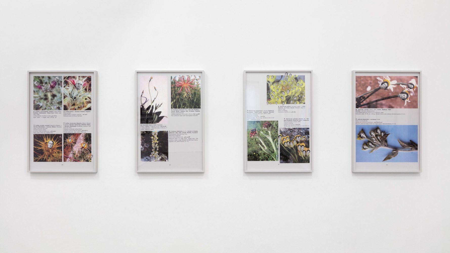Installation view, Walid Raad, Better be watching the clouds, May 19 – July 14, 2017