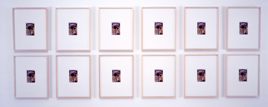Sherrie Levine "Postcard Collage #5" 2001 12 postcards on matboard each: 20 x 16 in.