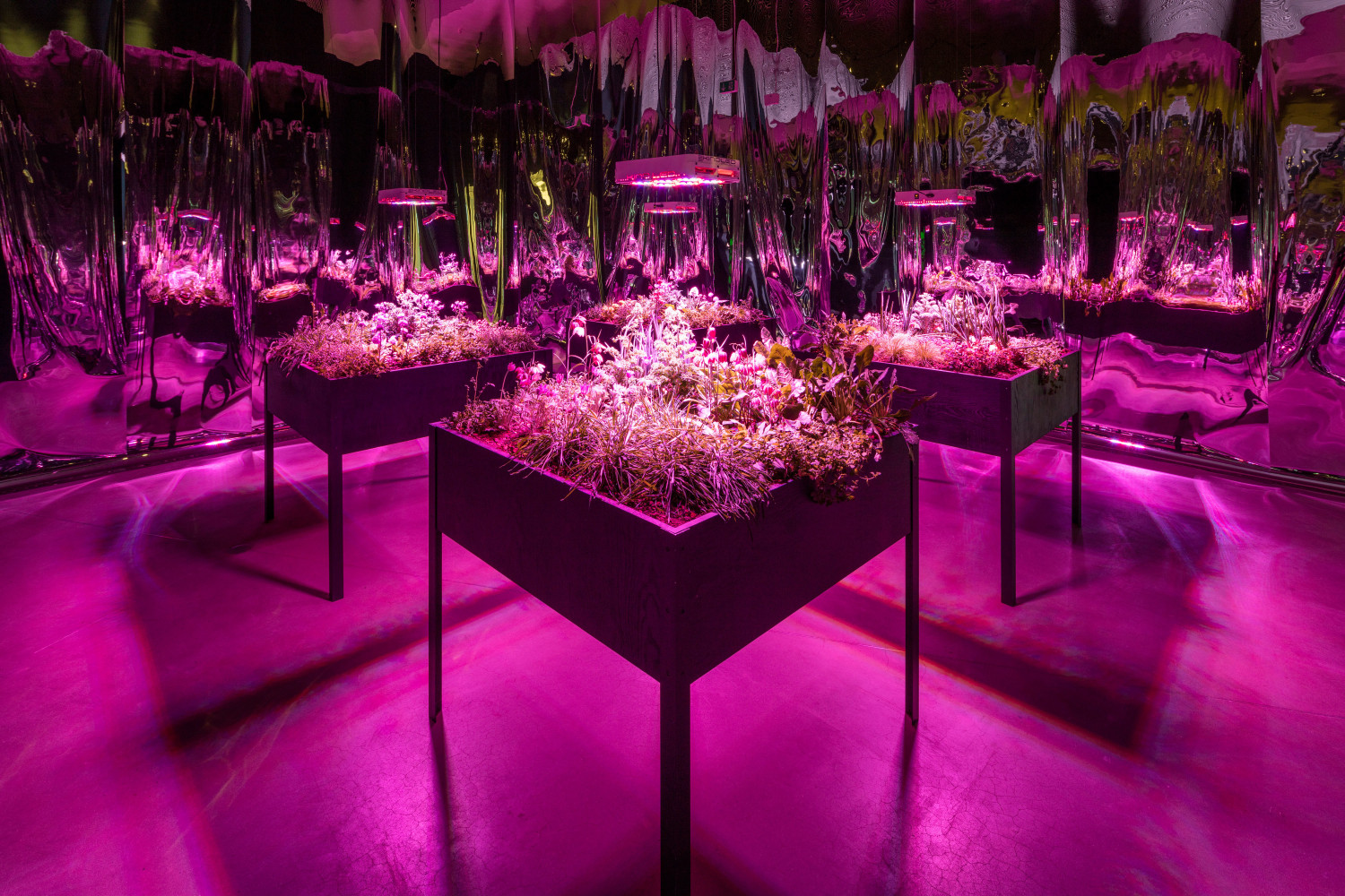 Meg Webster Solar Grow Room, 2016 Installation view, "The Garden - End of Times, Beginning of Times," ARoS Aarhus Kunstmuseum, Aarhus, Denmark, April 8 - October 22, 2017