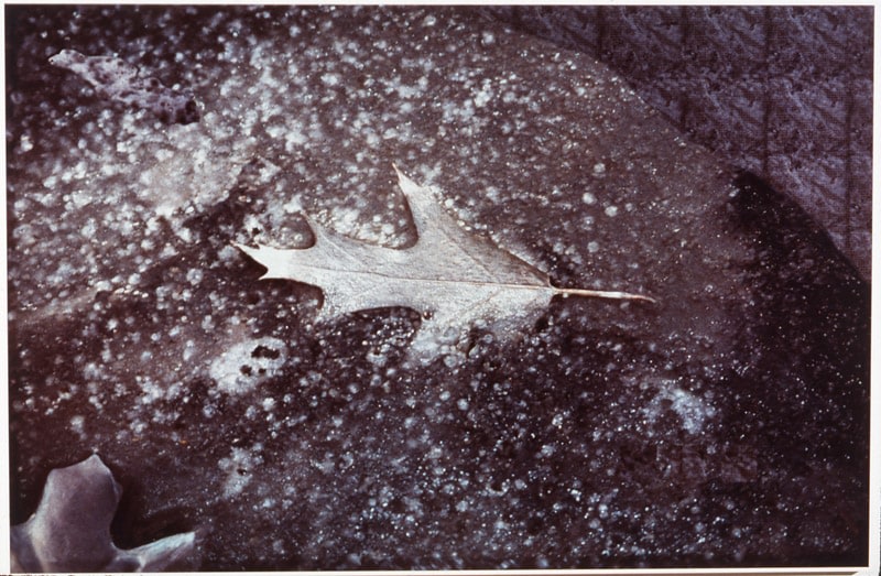 Peter Campus &quot;froze&quot; 1993 Computer altered photograph 40&quot; x 59 3/4&quot;