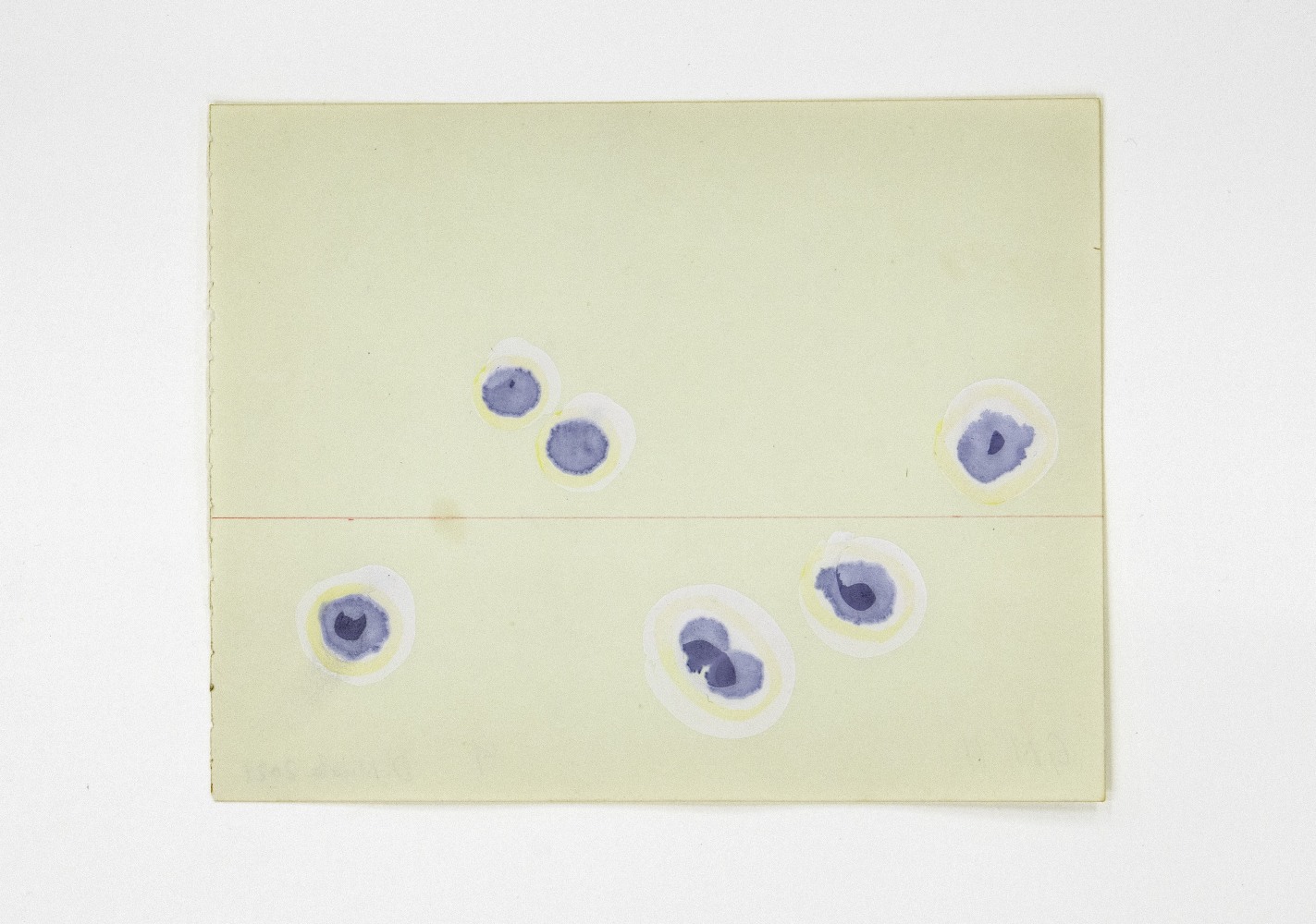 GN11, 2021
Stamp pad ink, printing ink, pencil on paper
6.3 x 8.1 inches / 16 x 20.5 cm