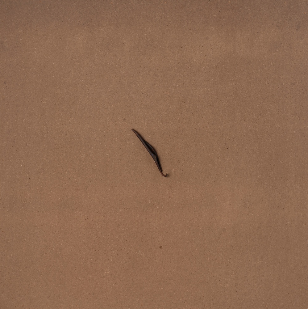 PS14, Untitled (the desireless one) 2019
Found object: dry leaf
4.5 x 0.5 x 0.3 inches | 11.5 x 1.5 x 1 cm