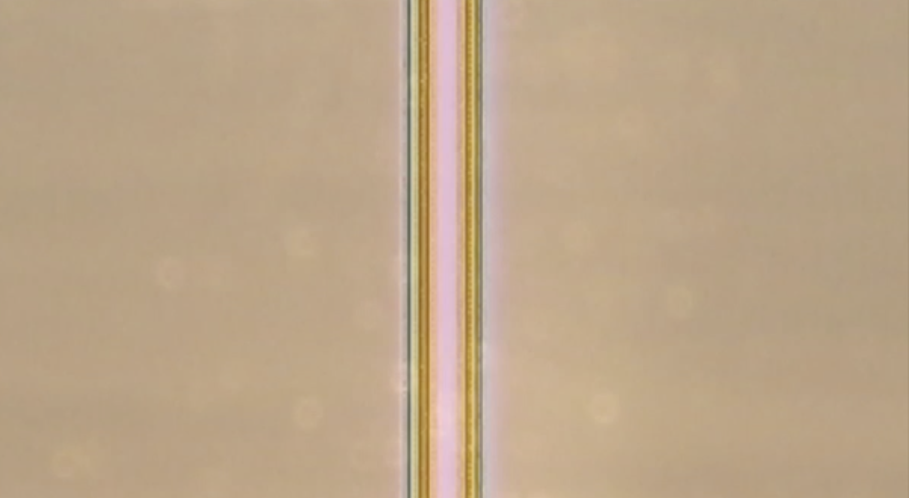 Film still from Pink Stripe, 2018
Original sound, 1 min 35 sec
Edition of 3 + 1 AP