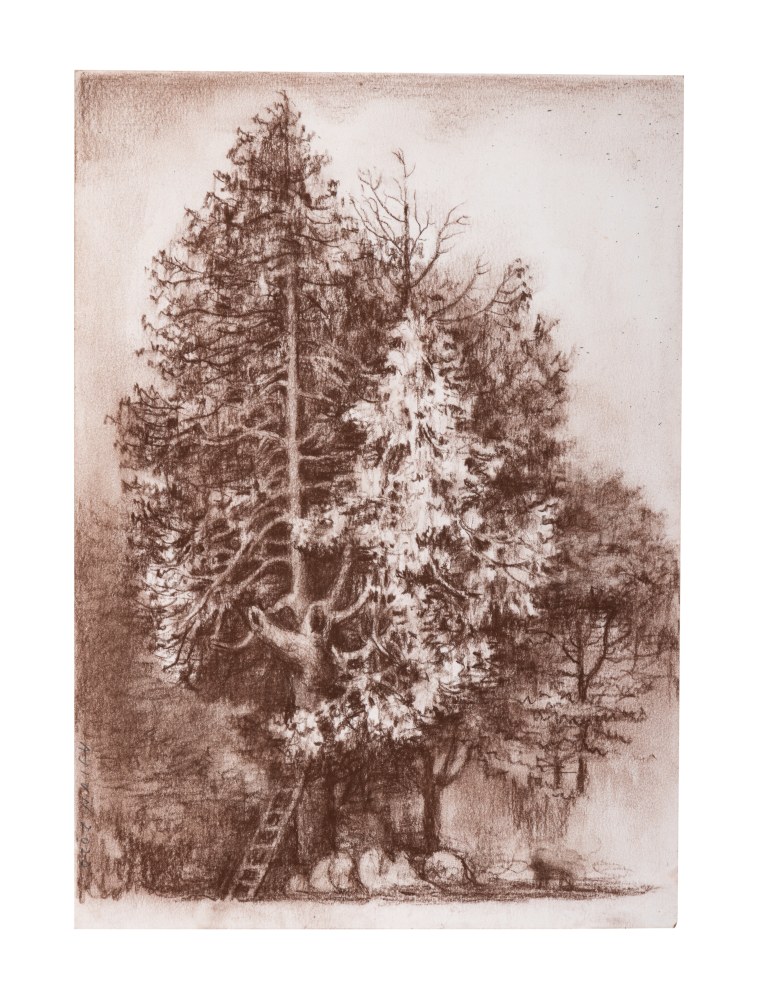 Untitled, 2020
(Drawing 22)
Soft pastel on paper
11.8 x 8.2 inches / 30 x 21 cm
19.6 x 15 inches / 50 x 38 cm (framed dimensions)