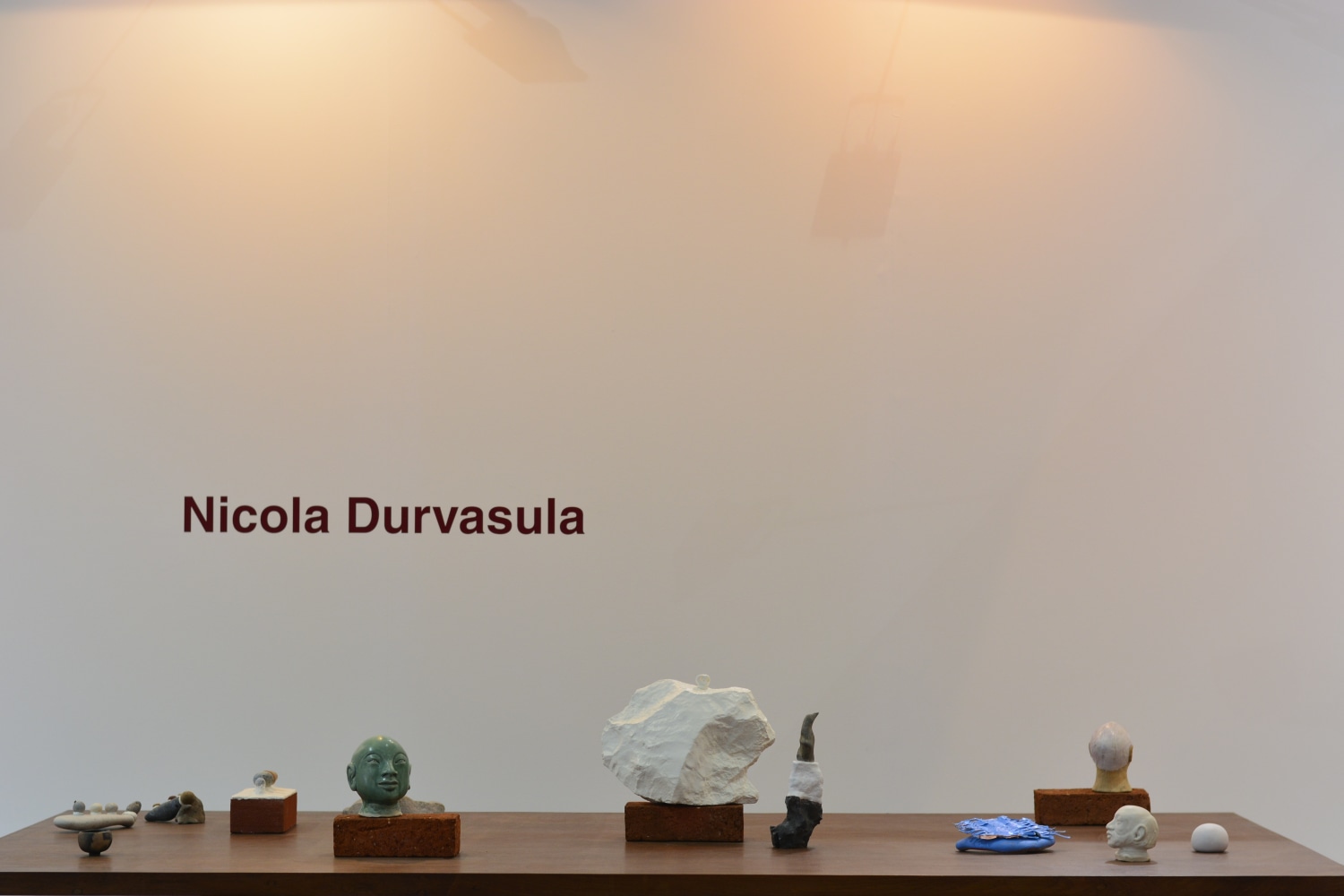 Nicola Durvasula, Galerie Mirchandani + Steinruecke, India Art Fair, 2016