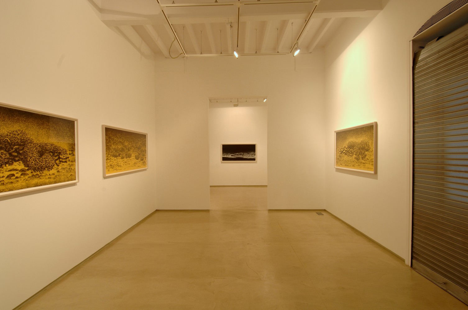 Installation view, Galerie Mirchandani + Steinruecke