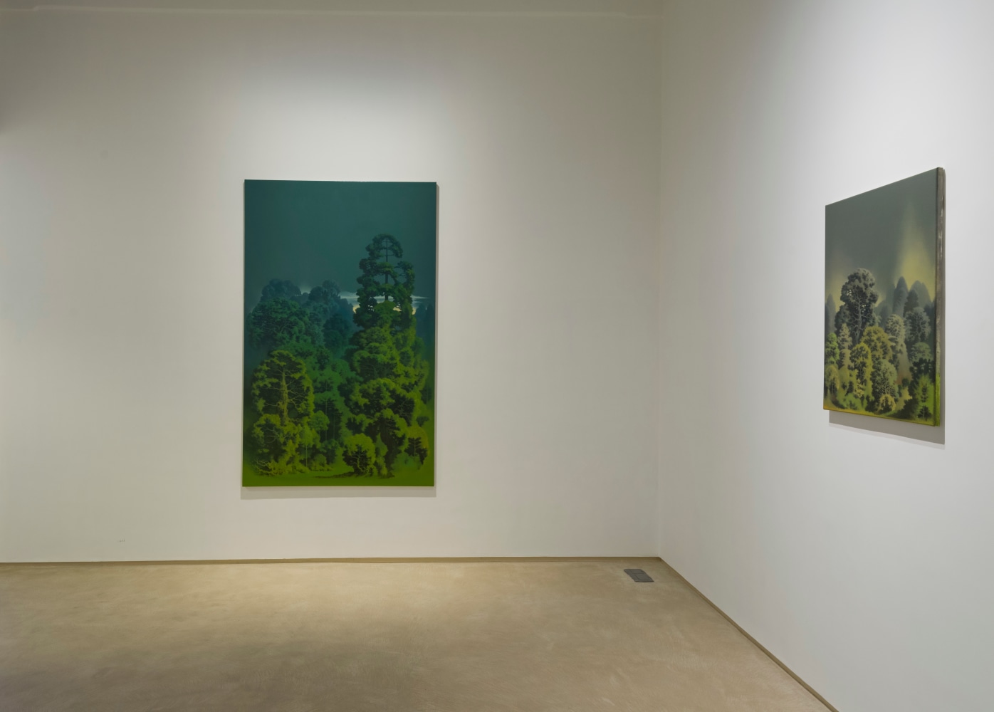 Installation View

Galerie Mirchandani + Steinruecke, Mumbai 2017