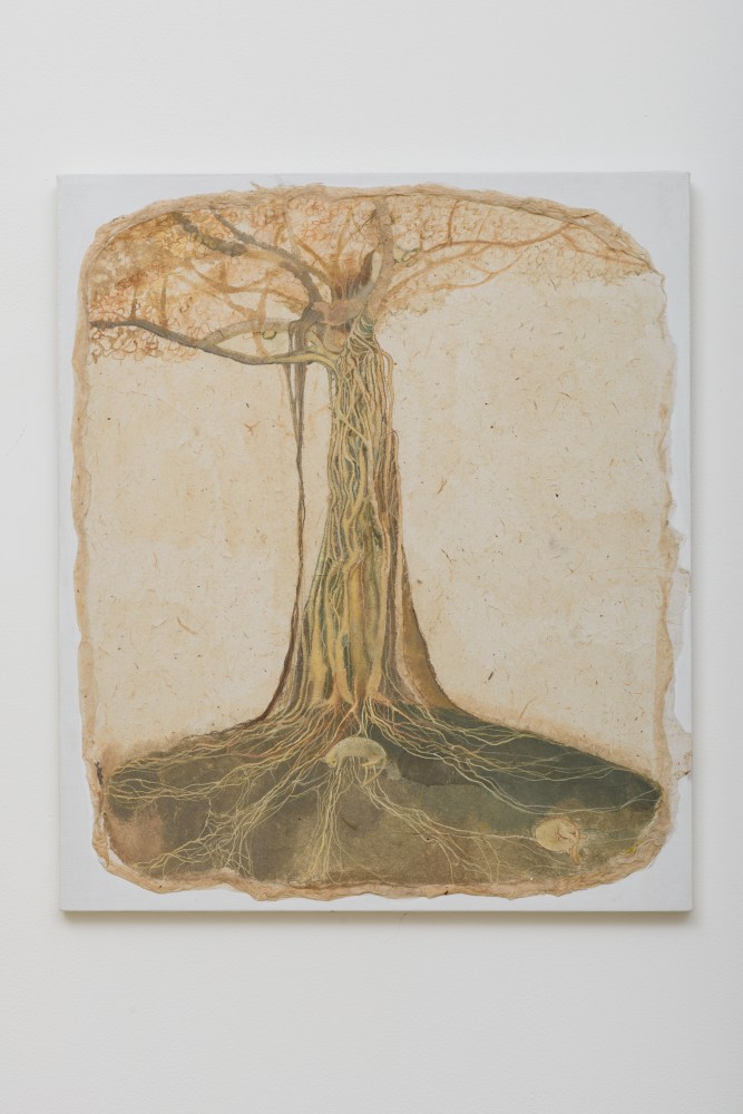 Portrait of a Banyan Tree,&amp;nbsp;2015

Watercolour on rice paper pasted on canvas

20.6 x 17.8 in / 52.5 x 45.3 cm