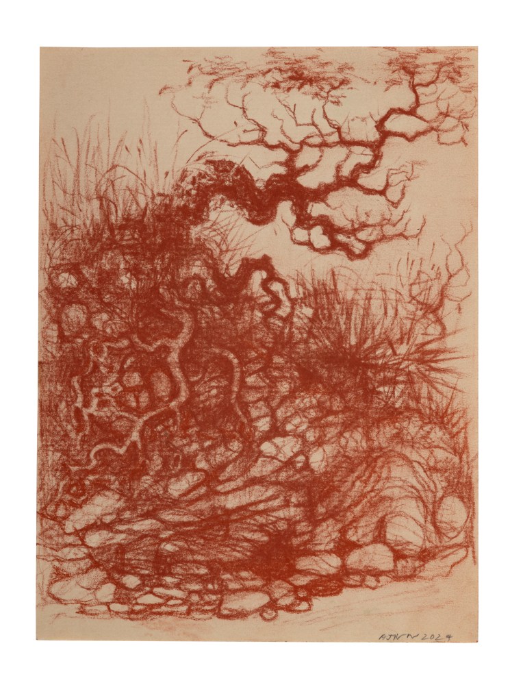 &amp;nbsp;&amp;nbsp;&amp;nbsp;&amp;nbsp;&amp;nbsp;

Untitled, 2024
(Drawing 30)
Sanguine on paper
11 x 8.2 inches / 28 x 21 cm
19.6 x 15 inches / 50 x 38 cm (framed dimensions)