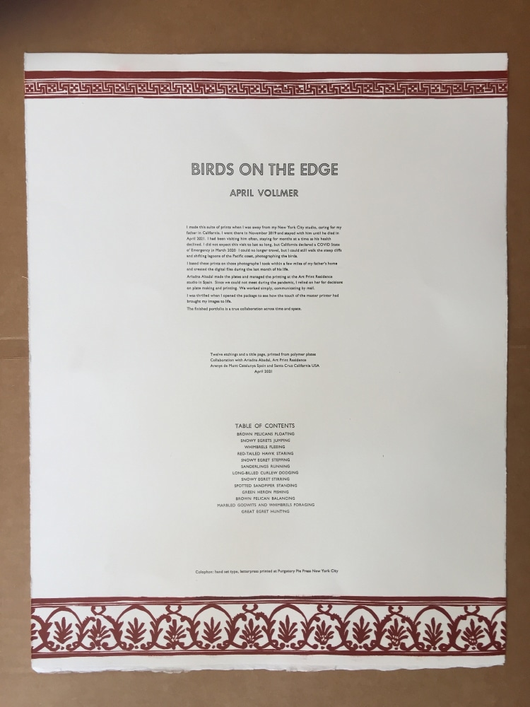 Birds on the Edge&amp;nbsp;(portfolio)
April Vollmer,&amp;nbsp;2021

Hand set letterpress and etching portfolio with handset letterpress colophon
15&amp;quot; X 19.5&amp;quot;
Edition of&amp;nbsp;6 (plus 4 AP of 4 prints)
$2500 for portfolio of&amp;nbsp;13 plus colopon

Art Print Residence-etchings: colophon::,Dikko Faust, Purgatory Pie Press, hand set metal type+&amp;nbsp;letterpress

INQUIRE