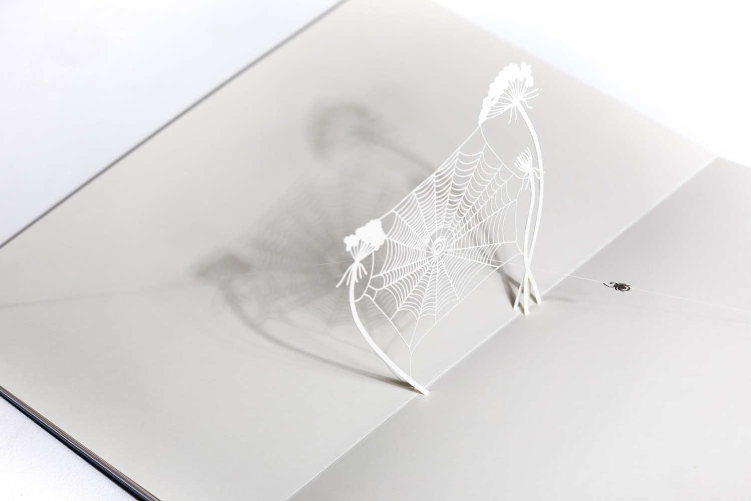 From Arachnophobia to Arachnophilia: Web and Spider
Tom&amp;aacute;s Saraceno,&amp;nbsp;2021

Artist&amp;rsquo;s book, with five hand-cut paper pop-up scenes&amp;nbsp;
Page spread: 23.4&amp;quot; x 16.5&amp;quot;
Edition of&amp;nbsp;125 + 40 artist and collaborator copies

Papercutting by Chisato Tamabayashi, London; sewing by Studio Tom&amp;aacute;s Saraceno, Berlin

INQUIRE