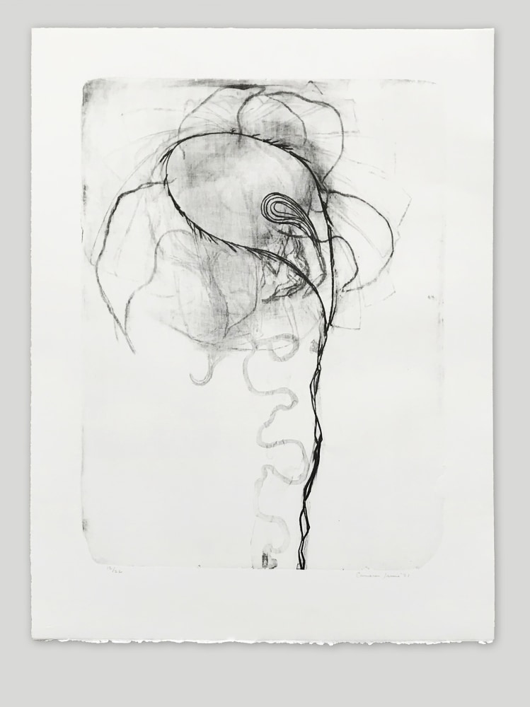 Untitled II
Cameron Jamie, 2021

Lithograph on&amp;nbsp;BFK Rives paper
32&amp;quot; x 24&amp;quot;
Edition of 22

Printed and Published by Idem Paris

INQUIRE