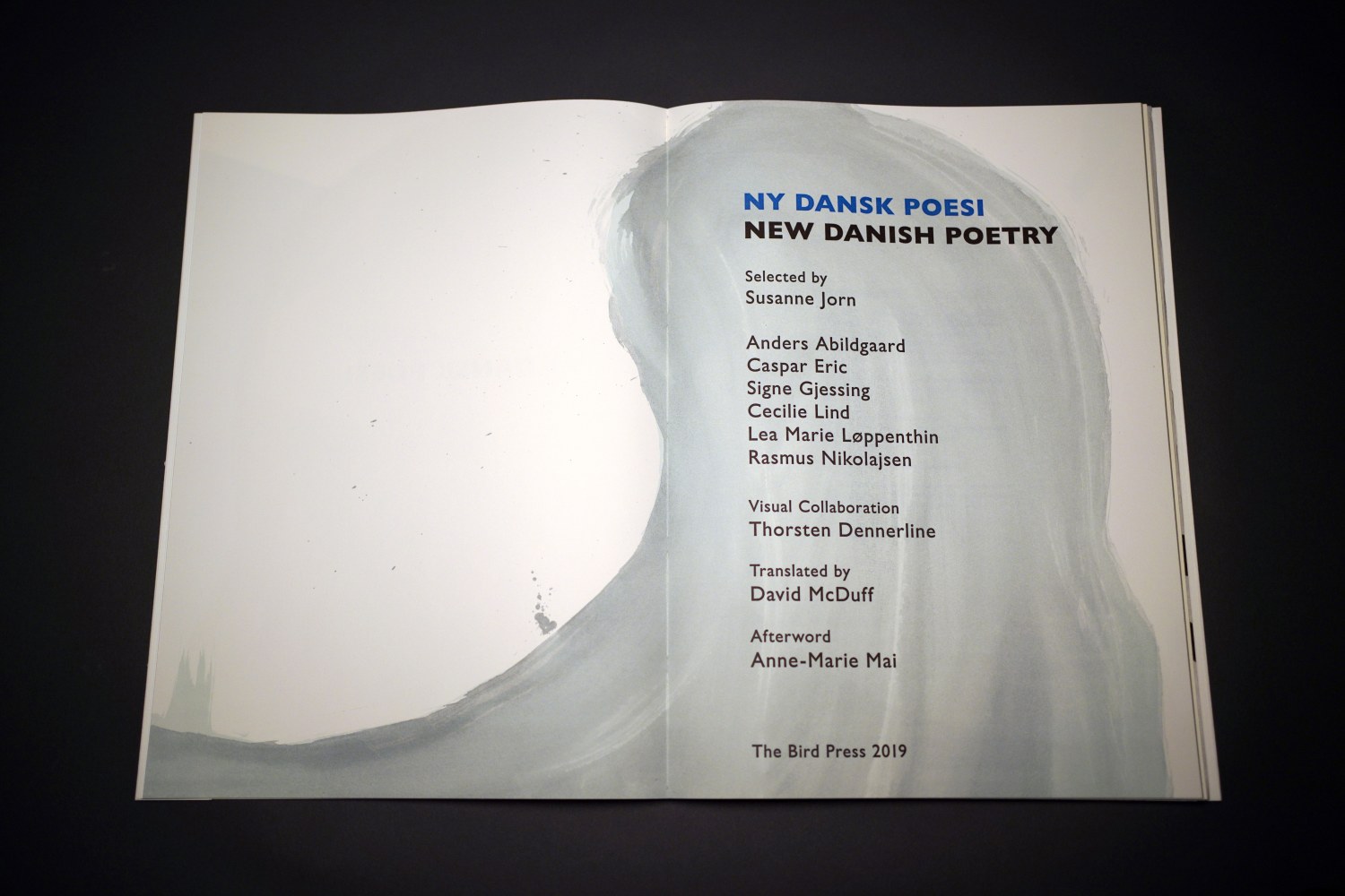New Danish Poetry/Ny dansk poesi
Anders Abildgaard, Caspar Eric, Signe Gjessing, Cecilie Lind, Lea Marie&amp;nbsp; L&amp;oslash;ppenthin, Rasmus Nikolajsen, Susanne Jorn, Anne-Marie Mai, David&amp;nbsp; McDuff, and Thorsten Dennerline, 2019-2020

Stone, plate and offset lithography, metal and polymer letterpress,&amp;nbsp; woodcuts, handmade and machine made papers, hand bound in&amp;nbsp; handmade paper and in a slip case.&amp;nbsp;
12.75&amp;quot; x 18&amp;quot; closed, 25.5&amp;quot; x 18&amp;quot;&amp;nbsp;open
Edition: 30, plus 10 special copies
Discounted EAB FAIR Price: $4600, limited individual prints also available

Published by The Bird Press

INQUIRE