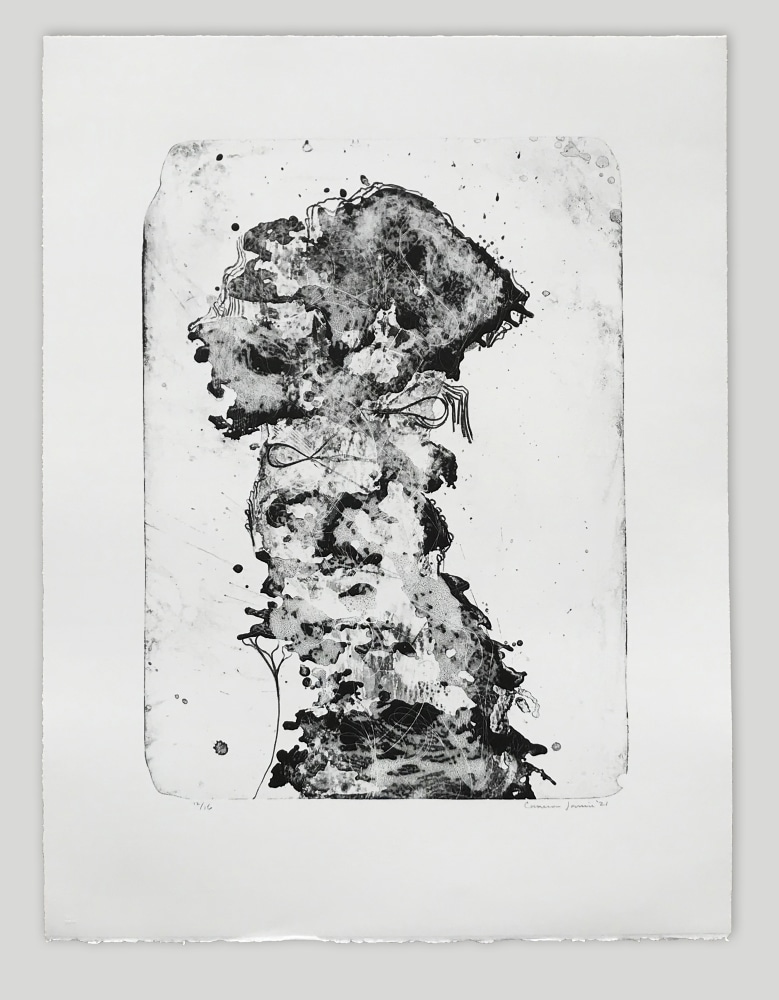 Untitled I
Cameron Jamie, 2021

Lithograph on&amp;nbsp;BFK Rives paper
32&amp;quot; x 24&amp;quot;
Edition of 16

Printed and Published by Idem Paris

INQUIRE
