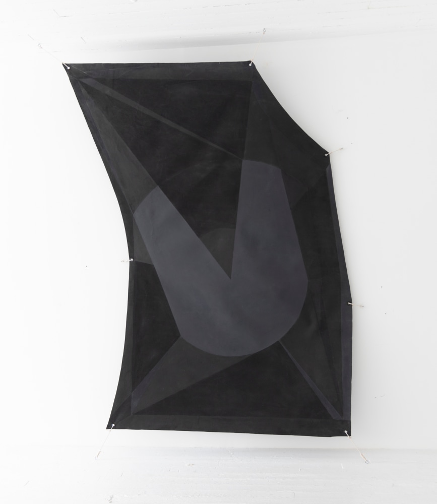 Joe Overstreet

Shadow and Light, 1971

Acrylic on canvas with grommets

Dimensions variable 116 x 80 x 10 inches canvas size (present overall installation 130 x 90 x 10 inches)

(JOVE069)