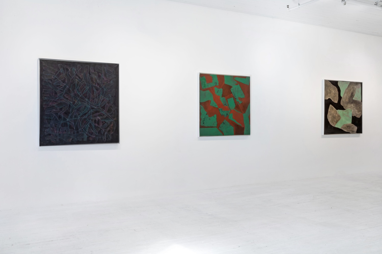 THOMAS SILLS: VARIEGATIONS, PAINTINGS FROM THE 1950s-70s