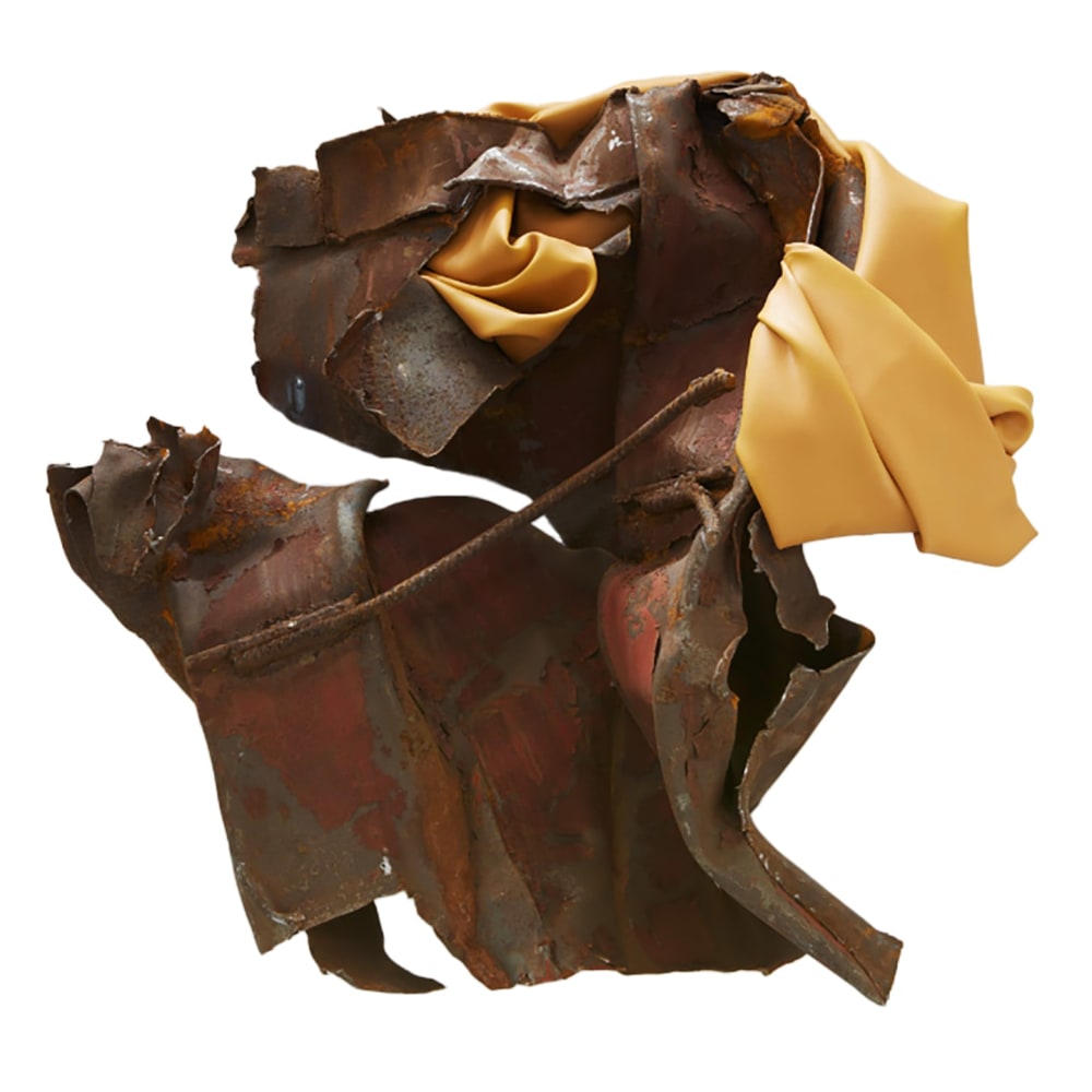 Kennedy Yanko

Unraveling, 2022

paint skin, metal

41h x 41w x 17d in
104.14h x 104.14w x 43.18d cm

KYAN001