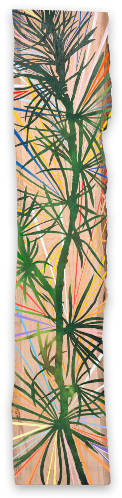 Jason Middlebrook

A Thousand Years and Counting (Larix Decidua), 2021

acrylic on Oak

96 x 20 1/4 x 1 1/4 in.
243.8 x 51.4 x 3.2 cm.

(MIDD011)