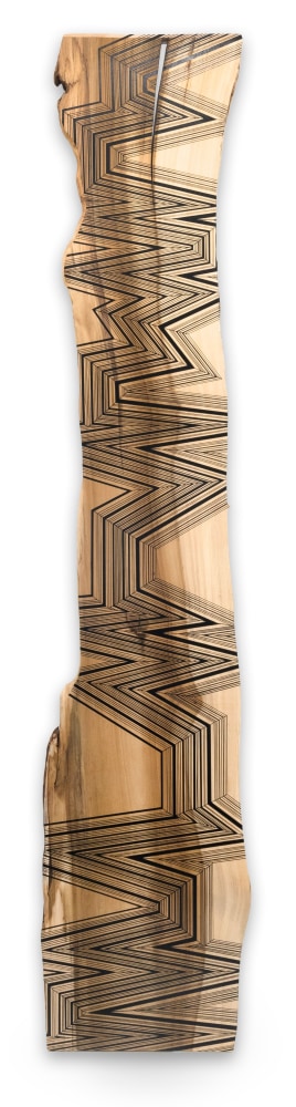 Jason Middlebrook

Thirty Six Turns on One Tree, 2015

acrylic on poplar

120 x 22 x 1 1/2 in.
304.8 x 55.9 x 3.8 cm.

(MIDD003)