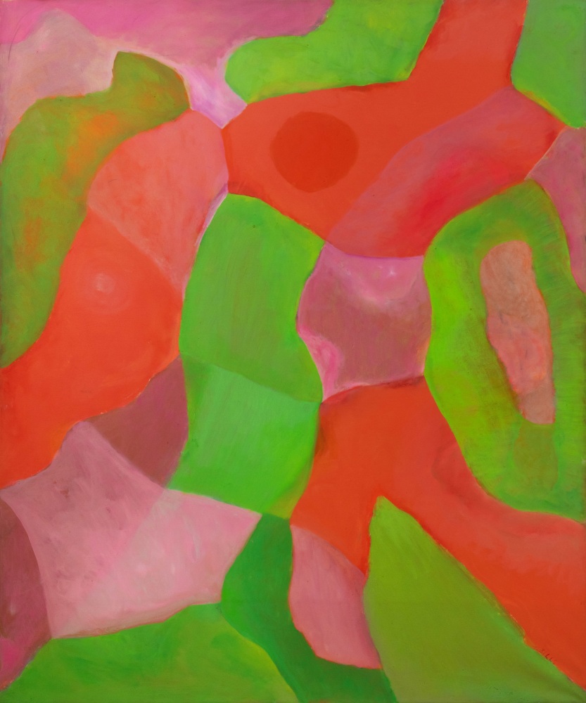 Thomas Sills

Arctic Weapon, 1965

oil on canvas

55h x 49w in
139.70h x 124.46w cm

THSIL152