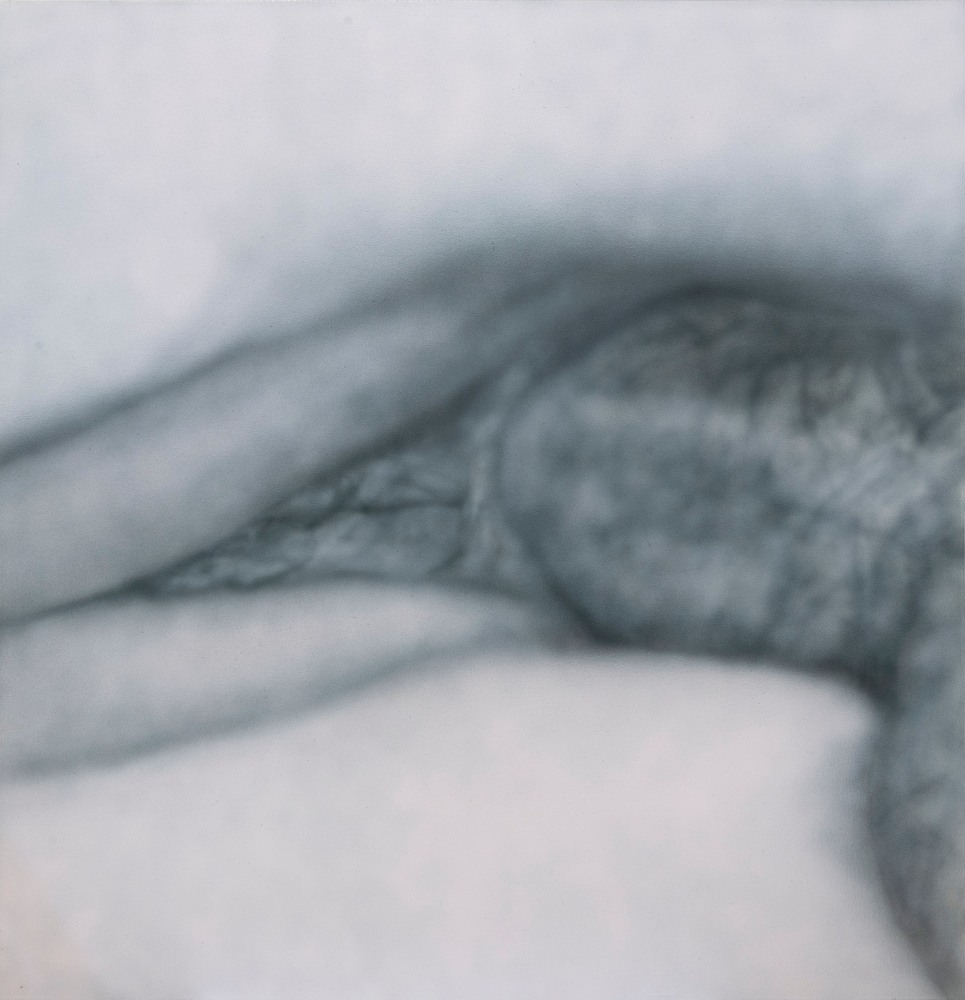 Betty Tompkins

Fuck Painting #60, 2019

acrylic on canvas

60 x 58 in.
152.4 x 147.3 cm.

(BETOM002)