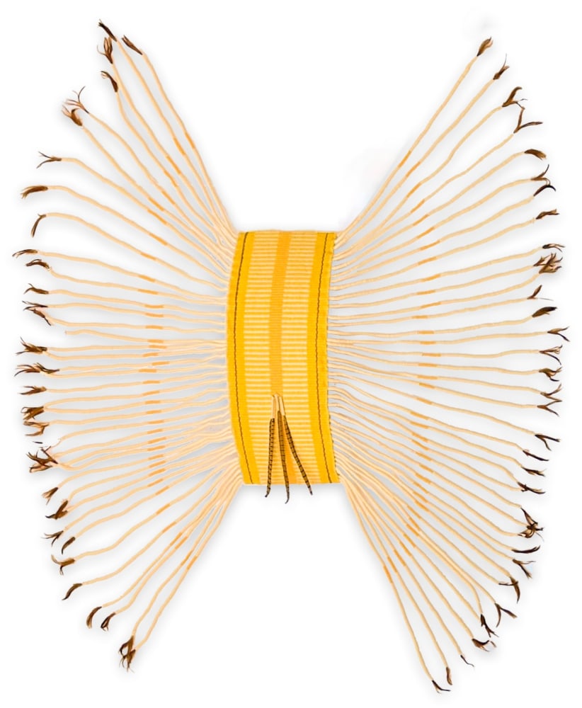 Penny Arntz

Sunrise Dance, 1972

wool, feathers, leather on fiberglass curved surface

10 x 18 x 48 in.
25.4 x 45.7 x 121.9 cm.

(PEAR001)