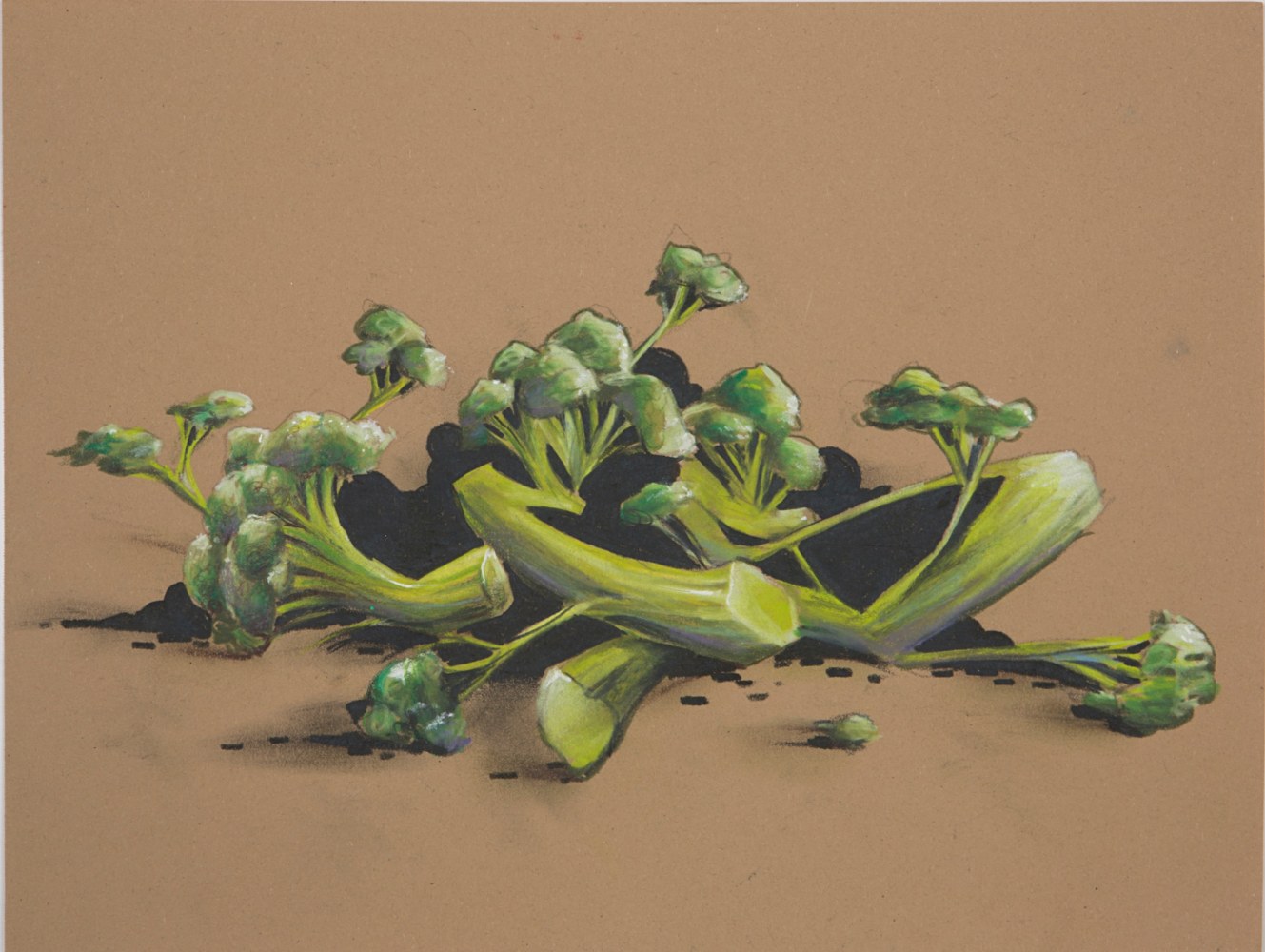 Untitled (Broccoli), 2015
Ink on paper
11 x 14 Inches