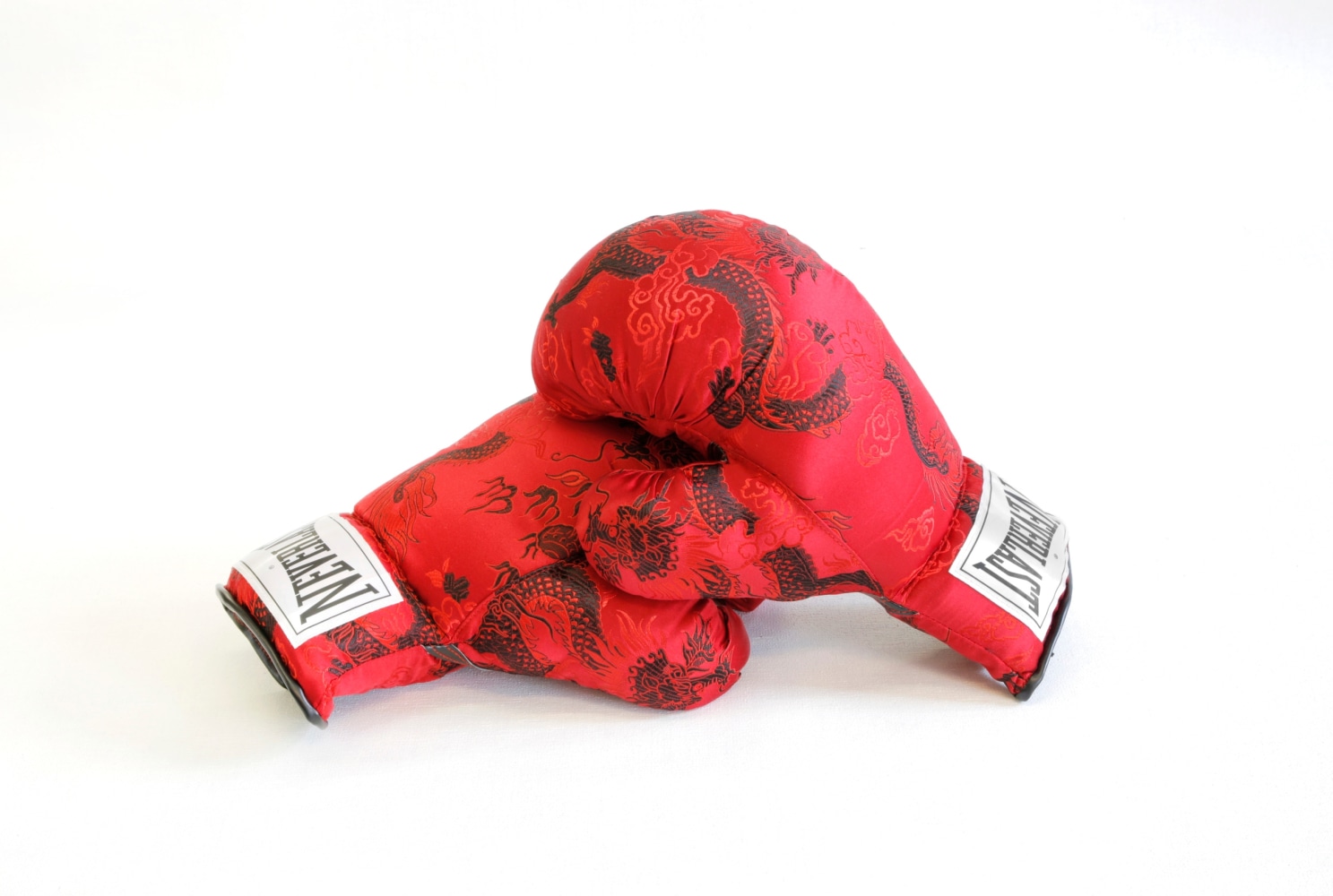 Satch Hoyt
Neverlast, 2008
Silk boxing gloves
Edition of 7Courtesy of the Artist