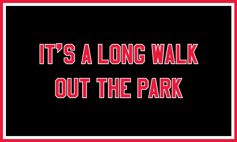 IT&amp;#39;S A LONG WALK OUT THE PARK from I&amp;#39;VE BEEN HEARD,
in collaboration with NYC Youth on Streetball, 2017
Nylon and tackle twill applique, rod sleeve on back
36 x 60 inches