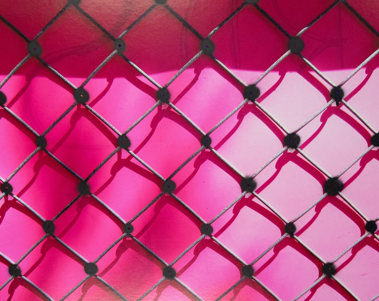 Sadie Barnette
Untitled (Pink fence, black), 2018
Archival pigment print, aerosol paint, Swarovski crystals&amp;nbsp;
37.75 x 45 inches