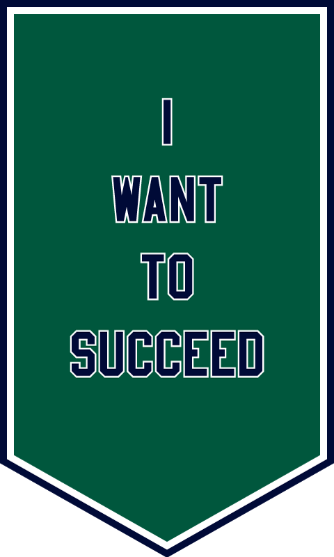 I WANT TO SUCCEED from I&amp;#39;VE BEEN HEARD,
in collaboration with NYC Youth on Streetball, 2017
Nylon and tackle twill applique, rod sleeve on back
60 x 36 inches